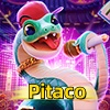 Logo da Pitaco